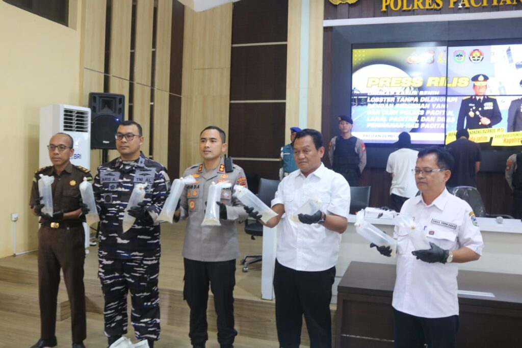 Polres Pacitan dan TNI-AL Gagalkan Penyelundupan 27.650 Benih Lobster