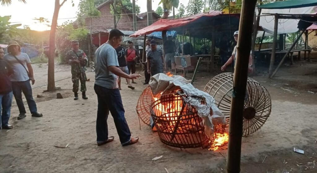 Polres Nganjuk Klarifikasi Dugaan Sabung Ayam di Desa Klurahan, Tegaskan Tidak Ada Aktivitas Perjudian