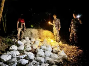Penyelundupan 5 Ton Pasir Timah di Pantai Jambosak Digagalkan Satgas TNI AL
