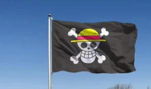Bendera One Piece dikibarkan menjelang Hari Kemerdekaan Indonesia dan viral di media sosial