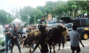 Ratusan Jagal Demo DPRD Surabaya, Tolak Relokasi RPH Pegirian ke Tambak Osowilangun