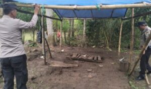 Polres Malang Kembali Bongkar Area Sabung Ayam di Kalipare