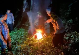 Polres Malang Kembali Bongkar Lokasi Judi Sabung Ayam di Sumberpucung