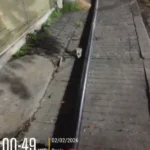 Tiang WiFi Berdiri Tengah Malam di Bubutan: Kecolongan atau Sengaja Dibiarkan?