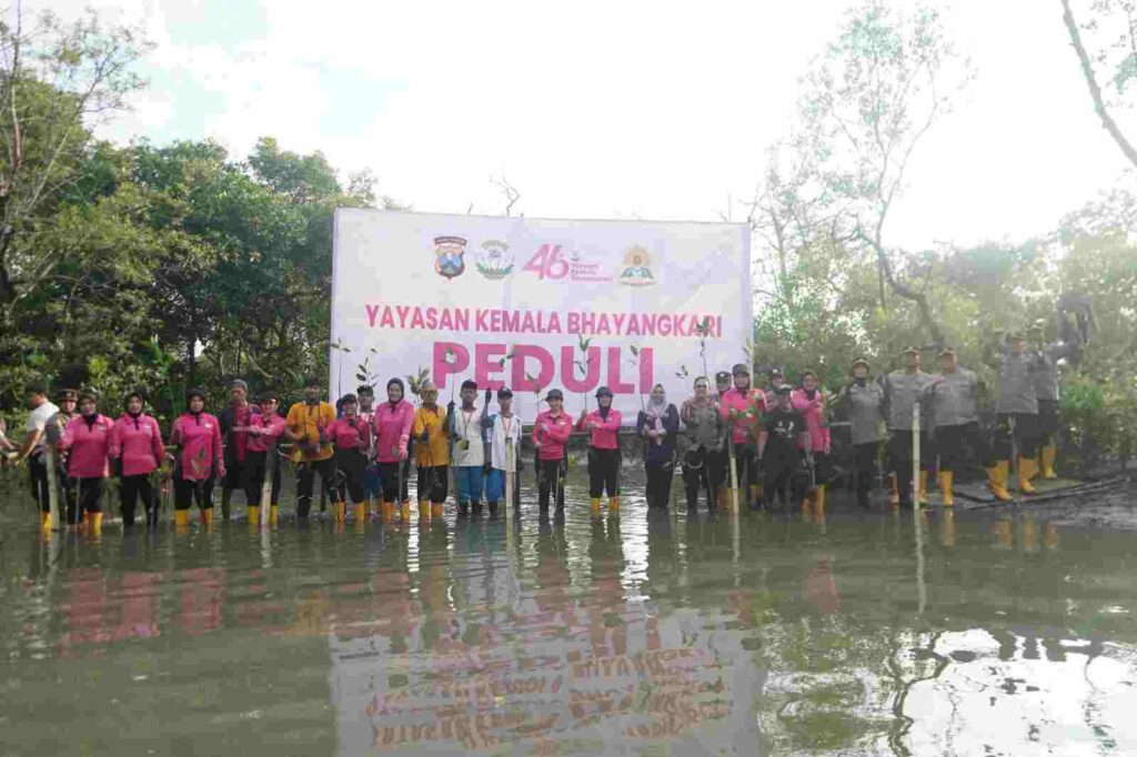 Sambut HUT ke-46, YKB Tanjung Perak Tanam Mangrove Pulihkan Lahan Kritis