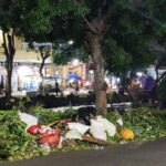 Sampah Bertumpuk Dipinggir Jalan: Ketua Umum IP pertanyakan Kinerja DLH Surabaya