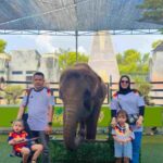 Ketum AMI Rayakan Ultah Putra di Maharani Zoo Lamongan
