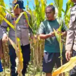 Polresta Sidoarjo Gelorakan Swasembada Pangan Melalui Program P2B