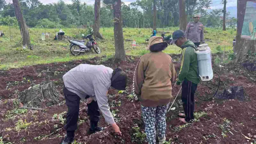 Polres Pasuruan Kawal Program Tanam Jagung