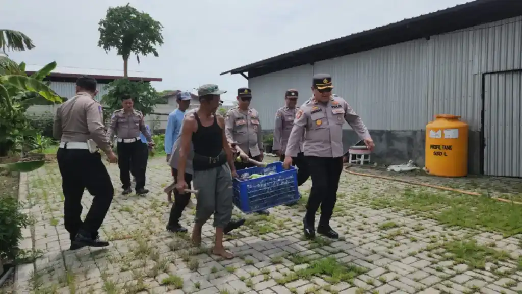 Polres Pelabuhan Tanjung Perak Panen Raya Terong Tumpang Sari Dukung Swasembada Pangan