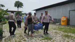 Polres Pelabuhan Tanjung Perak Panen Raya Terong Tumpang Sari Dukung Swasembada Pangan