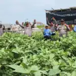 Polres Pelabuhan Tanjungperak Perkuat Sinergi Lintas Sektor Wujudkan Swasembada Pangan