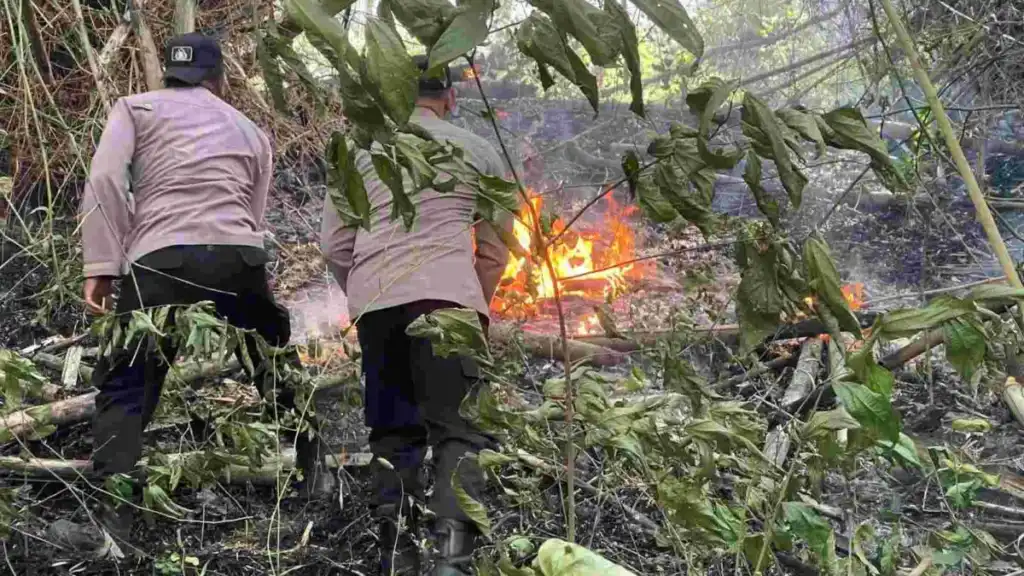 Polres Trenggalek Terjunkan Personel Jajaran Padamkan Api di Gunung Orak Arik