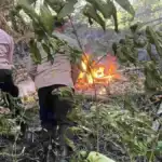 Polres Trenggalek Terjunkan Personel Jajaran Padamkan Api di Gunung Orak Arik