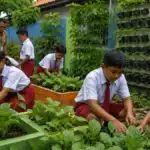 Jakarta Timur Siapkan Sekolah Percontohan Urban Farming di Setiap Kecamatan