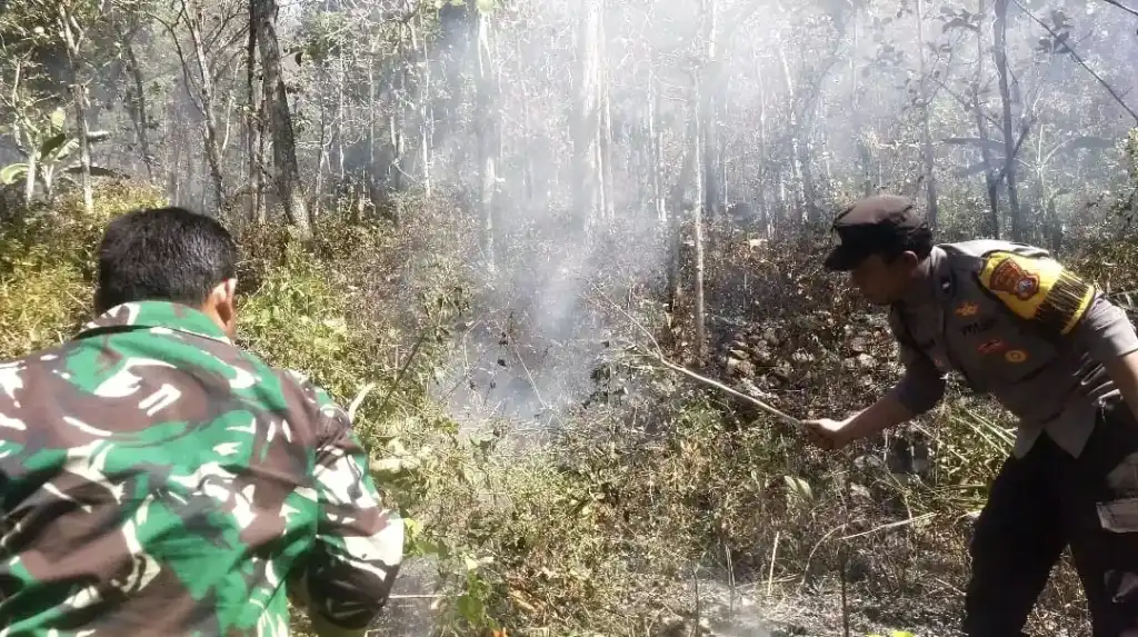 Respon Cepat Call Center 110 Polres Ngawi, Kebakaran Lahan di Bukit Gogor Sine Berhasil Dipadamkan