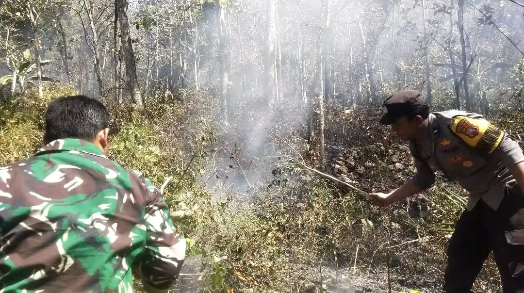 Respon Cepat Call Center 110 Polres Ngawi, Kebakaran Lahan di Bukit Gogor Sine Berhasil Dipadamkan