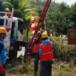 Listrik dan Telekomunikasi di Wilayah Terdampak Gempa NTT Hampir Pulih Sepenuhnya